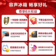 容声(Ronshen)253升变频一级能效三门小冰箱家用小型风冷无霜不占地BCD-253WD16NPA中门宽幅变温