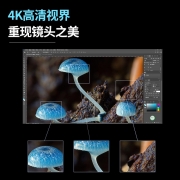攀升 27英寸 设计显示器 4K高清 IPS P3高色域 HDR400 Type-C口65W 旋转升降 低蓝光 电脑家用液晶屏E2726U-T