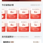 限部分用户：京东 1元无门槛 支付立减券
