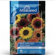 天猫U先：Marseed 进口阳台矮生向日葵种子  可食用  盲盒20-30粒