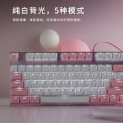 雷柏（Rapoo） V500PRO粉白版 机械键盘 有线键盘 游戏键盘 104键单光键盘 拼色键盘 PBT键帽 红轴