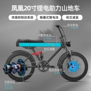 凤凰锂电池电动自行车20寸宽胎雪地沙滩变速车助力代步电动电瓶车 豪华版400W电机/48V12AH内置锂电池/黑