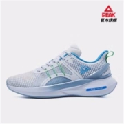 双11预售、20日20点：PEAK 匹克 态极3.0-极光 男款跑鞋 ET22607H