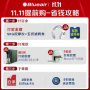 布鲁雅尔（Blueair） 空气净化器 智能菌盾7410i 除甲醛 家用客厅卧室 除菌除二手烟 除菌除醛除霾全能王7410i