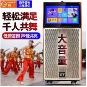 YANGZI 扬子 新款扬子广场舞音响大音量高音质带话筒硬盘声卡网络户外蓝牙音箱