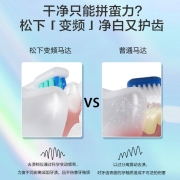 松下（panasonic） 电动牙刷 声波振动 软毛洁牙成人 礼盒礼物送男友送女友DC01 皓月白+白色刷头*2+(贝曾)白色刷头*2