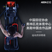 正伦 AEON 椭圆机家用磁控轻商用豪华太空漫步机运动健身器材椭圆仪 390D PLUS