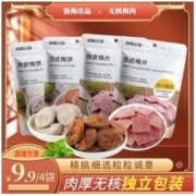 浙梅 无核陈皮梅饼日式梅饼陈皮梅片青梅话梅果脯蜜饯独立包装