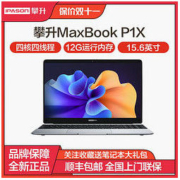 IPASON 攀升 MaxBook P1X 15.6英寸家用轻薄网课学习电脑办公上网笔记本