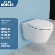 科勒壁挂式马桶挂墙坐便器隐藏式水箱嵌入式墙排直冲1级水效K-25255 海德丽100气动水箱+缸体+面板+缓降盖板