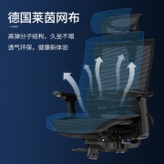 恋树 人体工学电脑椅 多功能办公椅 椅子家用 撑腰电竞椅 透气全网布座椅 靠背椅转椅 F08标准版 灰色（灰框+灰网）