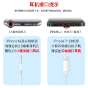 Apple 苹果原装耳机有线iPhone14promax/13/12/XS线控带麦平板手机扁口头通用 苹果原装耳机扁口通用