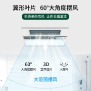 雷士（NVC） 凉霸卫生间浴室厨房照明一体 集成吊顶 冷霸 负离子送风 清凉吹风厨卫照明灯 【45W】负离子吹风+照明+摆叶