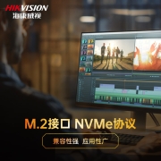 海康威视（HIKVISION）2TB SSD固态硬盘 M.2接口(NVMe协议)  C2000Pro系列 10年质保
