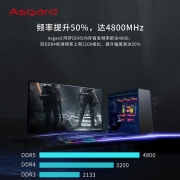 阿斯加特（Asgard）32GB(16Gx2)套装 DDR5 4800 台式机内存条 阿萨战士系列-炫酷黑甲RGB灯条