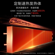 美的（Midea）“白天鹅”居浴两用取暖器/电暖器/电暖气家用/IPX4防水/浴室取暖/速热欧式快热炉NDK20-17DW
