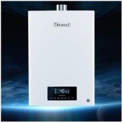 Rinnai 林内 零干扰系列 JSQ31-S06 强排式燃气热水器 16L