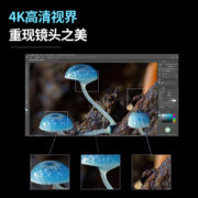 攀升 27英寸 设计显示器 4K高清 IPS P3高色域 HDR400 Type-C口65W 旋转升降 低蓝光 电脑家用液晶屏E2726U-T