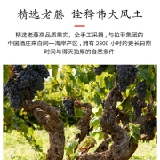 京东京造 特选级 绛·老藤干红葡萄酒750ml*6 整箱装 红酒