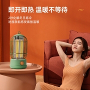 赛亿 取暖器家用电暖器电暖气节能速热小太阳复古鸟笼电暖气远红外碳素烤火炉多档调节 NL60（一年质保）