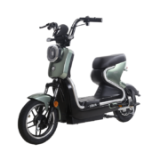 双11预告：五星钻豹 B6 新国标电动车 TDT27Z