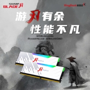 金百达（KINGBANK）32GB(16G×2)套装 DDR4 3600 台式机内存条-刃系列 RGB灯条海力士原装CJR颗粒