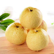 水果蔬菜 安徽砀山梨酥梨  净重4.4-4.5斤单果200g+￥14.90 2.8折