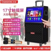 CHANGHONG 长虹 广场舞音响带视频家用k歌户外无线蓝牙手机同屏网络拉杆音箱