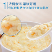 嘉宝(Gerber)米粥婴幼儿辅食米粥  鳕鱼胡萝卜南瓜营养高铁高钙高蛋白米糊198g(8个月及以上宝宝适用)