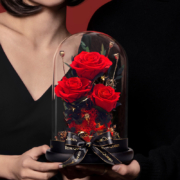 花逅 永生花玫瑰花玻璃罩礼盒永生鲜花玫瑰七夕情人节礼物送女生女朋友生日礼物纪念日礼物送女友老婆爱人 三世荏苒（带灯）红色