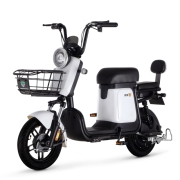 绿源超长续航锂电池电动车新国标电动自行车  ZFB 光纤白48V12A(下单后7天内发货)