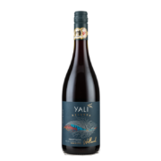 佳沃醇美汇 安第斯之翼 黑皮诺干红葡萄酒 750ml*2