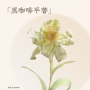 元气森林出品 纤茶 无糖无咖啡因玉米须茶饮料500ml*15瓶 整箱
