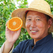 江西脐橙新鲜现摘 预售(约31-3日始发） 果园现摘直发 带箱5斤礼盒装大果(80-90mm)
