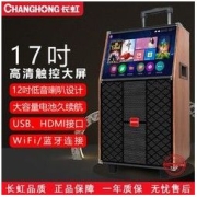 CHANGHONG 长虹 611C户外广场舞音响大功率带视频显示屏声卡网络家用K歌音箱