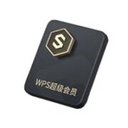 预售！WPS 金山软件 超级会员4年卡+2年卡