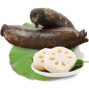 88VIP：果心榴 洪湖莲藕新鲜粉藕 500g