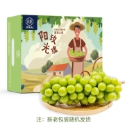 云南阳光玫瑰葡萄/提子 香印青提 原箱2kg装 2-3串/箱 新鲜水果礼盒