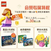 乐高(LEGO)积木 机械系列 42096 保时捷911RSR 10岁+ 儿童玩具 赛车跑车模型 男孩国庆礼物 粉丝收藏