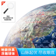 得力(deli)32cm大号LED灯立体浮雕地球仪 学生高清中英文对照教学 中秋节儿童礼物  2165