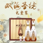 双沟 珍宝坊圣坊 浓香型白酒 42度 (480ml+20ml)*2瓶 礼盒装