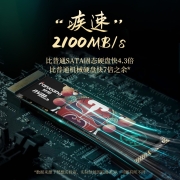 梵想（FANXIANG）128G SSD固态硬盘 M.2接口(NVMe协议) 台式机笔记本电脑适用 S500系列 原厂颗粒/TLC颗粒