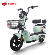 五星钻豹电动车 新国标48V电瓶车代步车男女轻便两轮电动自行车 B10 B10-14铅酸版 元气绿
