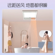 奥普（AUPU） 奥普浴霸 集成吊顶风暖浴霸多功能嵌入式 换气吹风三合一浴室浴霸300*300 5018A 白色(LED照明+大板开关)