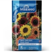 天猫U先：Marseed 进口阳台矮生向日葵种子 可食用 盲盒20-30粒