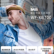 索尼（SONY） WF-XB700 真无线蓝牙运动耳机入耳防水防汗跑步重低音适用于苹果安卓小米 黑色