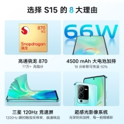 vivo S15 8GB+128GB 耀黑 高通骁龙870 超感光影像系统 电影感人像大片 66W闪充 5G 快充 拍照 手机