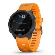 GARMIN 佳明 Forerunner245 运动手表 活力橙 42.3mm 普通版