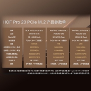影驰 名人堂HOF SSD固态硬盘PCIE4.0 M.2接口NVME协议台式机电脑PS5固态硬盘 HOF EX 1T/读速高达7000MB/S