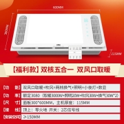 雷士（NVC） 双风口取暖/双风口吹风/双风口换气浴霸风暖排气扇照明一体 大功率速热集成吊顶浴霸 强推！【3000W】大功率制热+真双电机出风